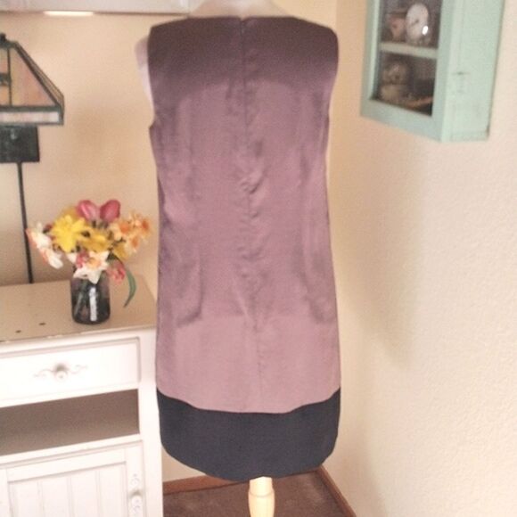 Ann Taylor Loft Shift Dress - Picture 5 of 9